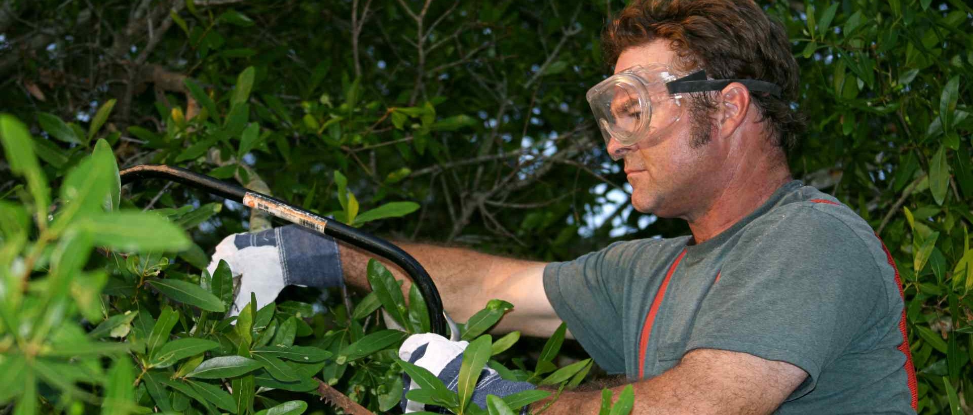 garden clearance EN7