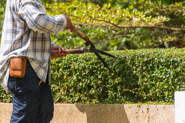 Garden Maintenance Goffs Oak, Cheshunt, EN7